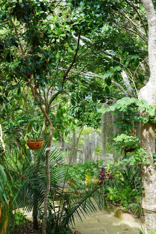 El Paraiso Posada Finca San Vicente Barichara Esterno foto